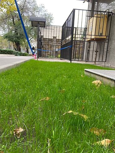 уборка участков: Озеленение и обустройство участков “под ключ”🔑 - подготовка, уборка — 7