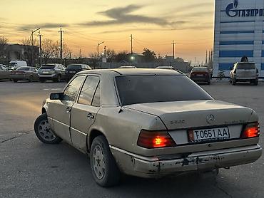 Mercedes-Benz: Mercedes-Benz W124: 1991 г., 2.3 л, Механика, Бензин, Седан — 6