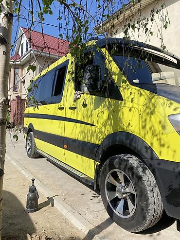 светомузыку: Количество мест: 18, Лицензия №: 00В004043 — 2