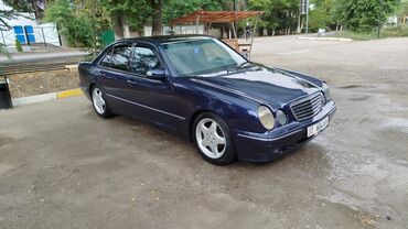 Mercedes-Benz: Mercedes-Benz 240: 1999 г., 2.4 л, Автомат, Бензин, Седан