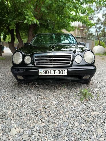 mersedes.vito: Mercedes-Benz 240: 2.4 л | 1998 г. Седан