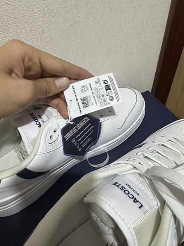 lacoste кроссовки: Мужские кроссовки, 43, Lacoste, Новый, цвет - Белый, Самовывоз — 8