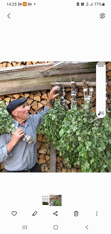 баньо от папиллом: Продаю банные веники береза, липа, дуб. Райн Асанбай. Консультация по — 5