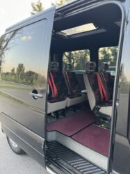 Mercedes-Benz: Mercedes-Benz Спринтер: 2010 г., 2.2 л, Механика, Бензин, Минивэн — 4