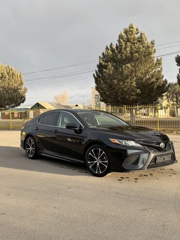 двухсотка машина: Toyota Camry: 2019 г., 2.5 л, Автомат, Бензин, Седан