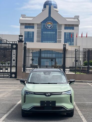 Weltmeister: Weltmeister W6, 2021 г., 170000 км, Передний, В наличии — 1