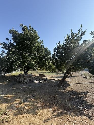 Torpaq sahələrinin satışı: 25 sot, Tikinti, Mülkiyyətçi, Kupça (Çıxarış) — 7