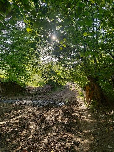 Torpaq sahələrinin satışı: 92 sot, Biznes üçün, Mülkiyyətçi, Kupça (Çıxarış), Bələdiyyə, Müqavilə — 18