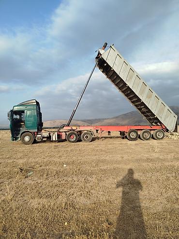 Тягачи: Тягач, DAF, 2003 г., Самосвал — 11