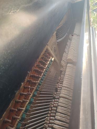 piano gallery: 2 pedallı "KUBAN" pianosu. Bütün dilləri yerindədir. Simlərində, bel — 5