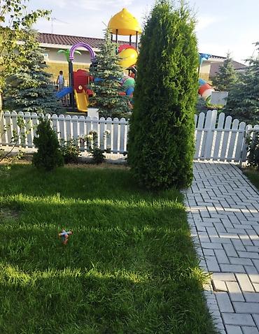 Аренда коттеджей и домов на Иссык-Куле: Коттедж, Palm Beach, Чок-Тал, 6 мест — 13