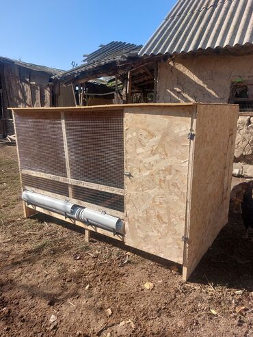 тушки кролика: Башка торлор