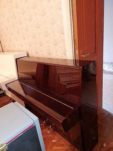 Klavişli alətlər: Pianino PETROF Cexiya stehsalı .İdeal vəziyyədə. Cadrılma və köklənmə — 3