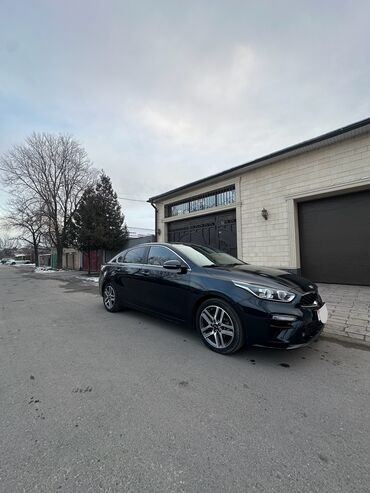 Kia: Kia K3: 2019 г., 1.6 л, Вариатор, Бензин, Седан — 7