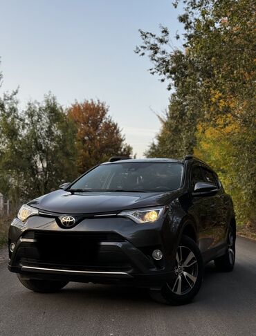 рейка портер: Toyota RAV4: 2017 г., 2.5 л, Автомат, Бензин, Кроссовер
