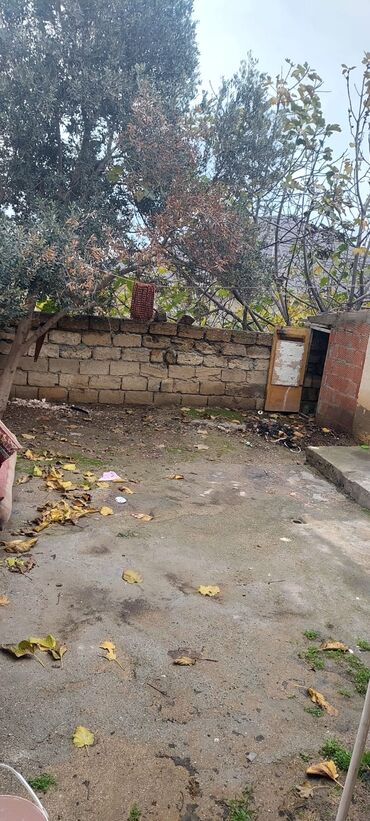 Uzunmüddətli kirayə evlər: 2 otaqlı həyət evi Kohne gunesliden ziga dusen yolda yerlesir ev — 6