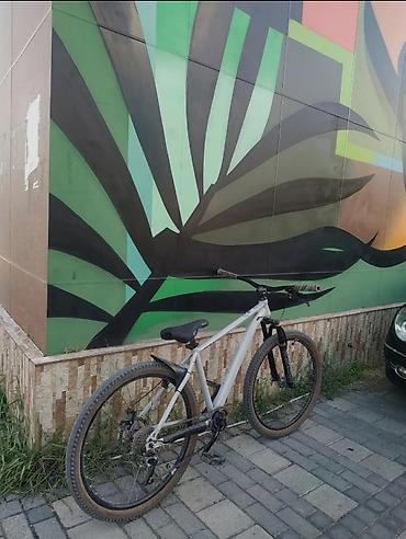 Şəhər velosipedləri: Dəmir rama!! BARTER VAR (YALNIZ TELEFON İLƏ) 1. Hassns pro7 xamilyon — 5