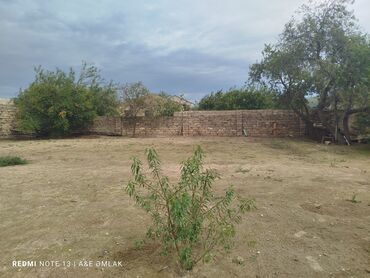 куплю дом в баку: 6 sot, Tikinti, Makler, Kupça (Çıxarış)