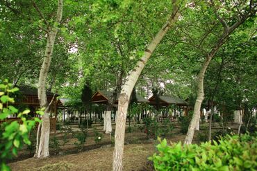 Kommersiya daşınmaz əmlakının satışı: Obyekt İstirahət Mərkəzi satılır 1 hektarda Hacıqabul İpək yolu — 4