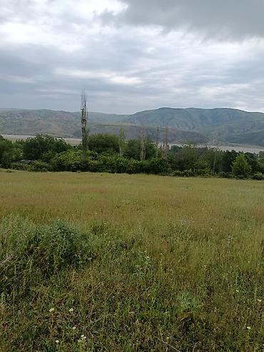 bartee: 300 sot, Kənd təsərrüfatı, Barter mümkündür, Kupça (Çıxarış) — 3