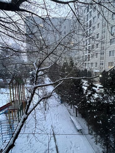 Долгосрочная аренда квартир: 2 комнаты, Собственник, С мебелью полностью — 15