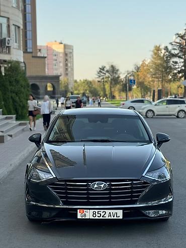 соната желтый: Hyundai Sonata: 2022 г., 2 л, Автомат, Газ, Седан — 3
