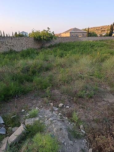 sumqayit 17 mkr: 24 sot, Tikinti, Makler, Kupça (Çıxarış) — 2
