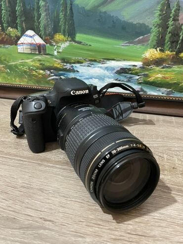 фотоаппарат любитель: Зеркальная камера Canon EOS 77D с установленным телеобъективом Canon