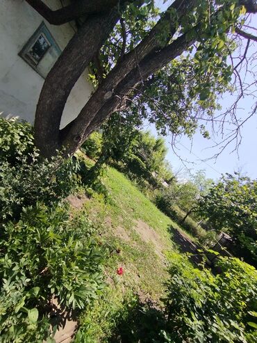 Продажа домов: Дом, 459 м², 6 комнат, Собственник, Косметический ремонт at lalafo.kg — 14 Продажа домов: Дом, 459 м², 6 комнат, Собственник, Косметический ремонт — 14