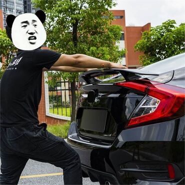 Спойлеры: Задний Honda 2006 г., Новый, Аналог — 4