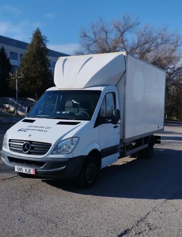 лампа для машины: Легкий грузовик, Mercedes-Benz, Стандарт, До 1 т