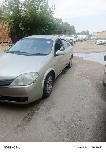 хонда сивик леви руль автамат хежибек серебристый: Nissan Primera: 2003 г., 2 л, Вариатор, Бензин, Седан