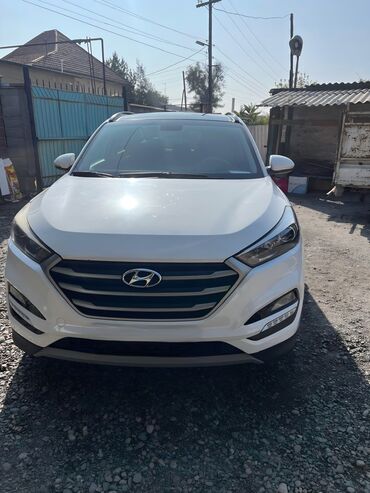 бак дизель: Hyundai Tucson: 2017 г., 2 л, Автомат, Дизель, Кроссовер