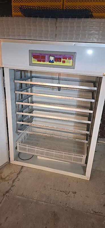 İnkubatorlar: 1100 yumurta, Çin, Fabrik istehsalı, Azərbaycan dilində təlimat, Tam avtomat — 4