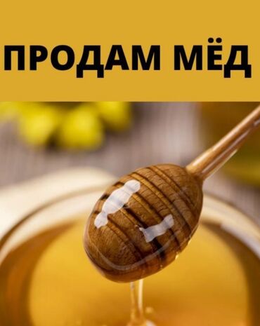 суусамырский мёд: Продаю натуральный горный мед от 1 кг самовывоз есть платная
