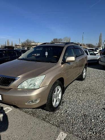 Lexus: Lexus RX: 2004 г., 3.3 л, Автомат, Газ, Кроссовер — 8