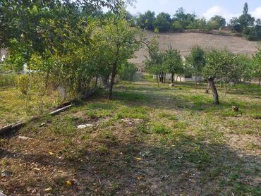 Torpaq sahələrinin satışı: 24 sot, Kənd təsərrüfatı, Kupça (Çıxarış) — 10