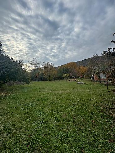 bineqedi heyet: Zaqatala rayonu, Car kəndində torpaq sahəsi satılır 📍 Sakit və — 2