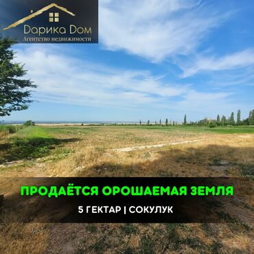 участка сокулук: 📌В Сокулуке, раион Плодопитомник продается орошаемая земля 5 ГА . ▪️