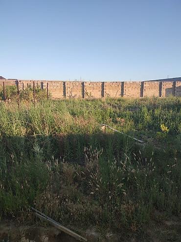 hovsan qəs: Mehemmedli qesebesi zeytun bagiyla uzbe uz 8 soot kupcali torpaq — 3