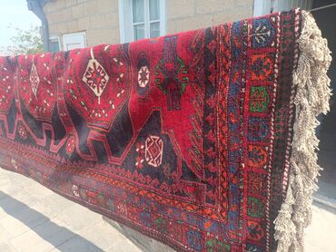 Güzgülər: Xalça Dekorativ, Azərbaycan