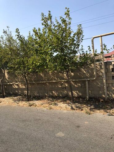 Torpaq sahələrinin satışı: 20 sot, Tikinti, Makler, Kupça (Çıxarış) — 5