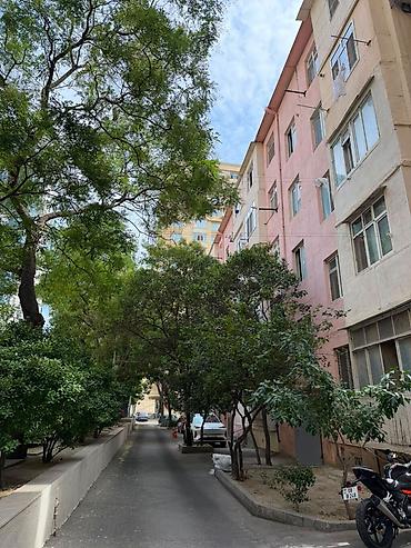 goycay ev elanlari: 5/4 1 otaq 2ye duzelme 35kv Esyali İsdilik merkezi Abad heyet Metroya — 9