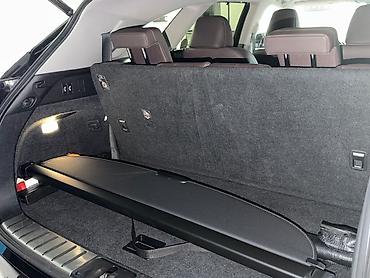 Lexus: Lexus RX: 2020 г., Вариатор, Гибрид, Кроссовер — 11