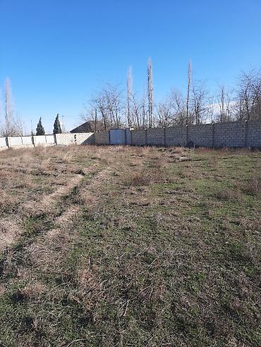 gen: 10 sot, Tikinti, Mülkiyyətçi, Kupça (Çıxarış) — 8