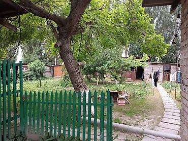 дом пр: Село Киргшелк, за постом ГАИ.Можно Под Бизнес Теплица — 7