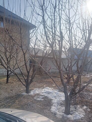 Продажа домов: Дом, 110 м², 5 комнат, Собственник, Косметический ремонт — 16