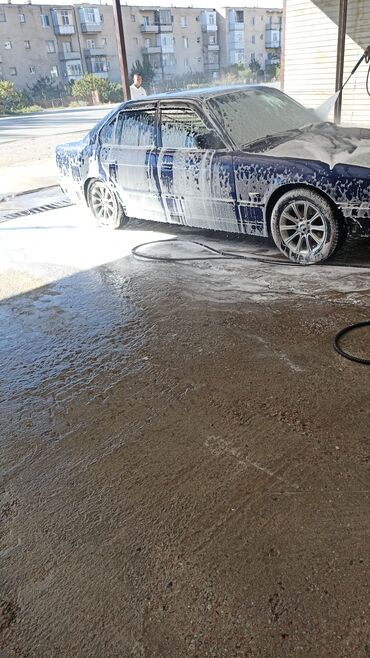 ищу работу на охрану: Унаа жуучу жай