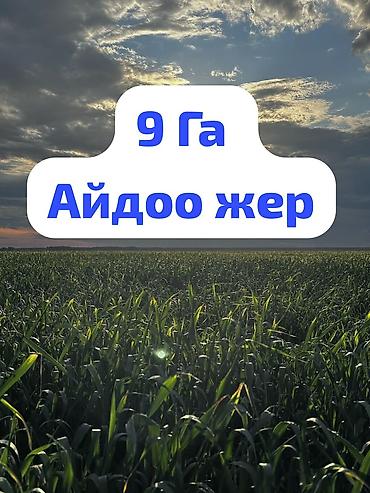 село кок жар: 900 соток Для сельского хозяйства, Водопровод — 1