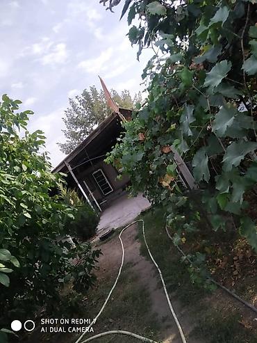 Продажа коттеджей и домов: Продаю дом. Село Беловодское, находится по улице Фрунзе 25. (Главная — 11